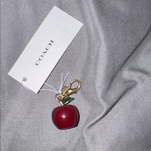 Coach Red Apple DIY bag charm-mini size